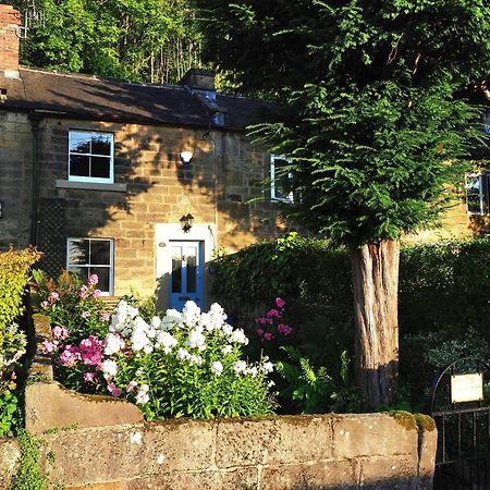 Rose Cottage マトロック エクステリア 写真